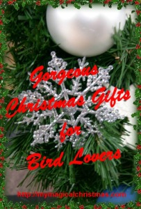 Gifts for Bird Lovers